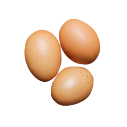 Eggs Choline